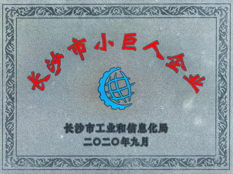 長沙市小巨人企業